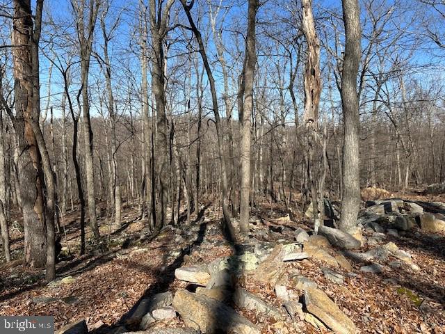 CABIN AT CAPON BRIDGE - Land