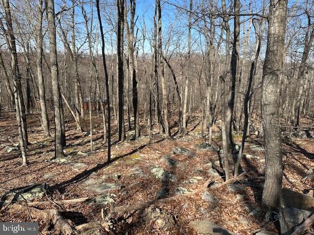 CABIN AT CAPON BRIDGE - Land