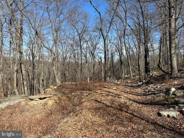 CABIN AT CAPON BRIDGE - Land