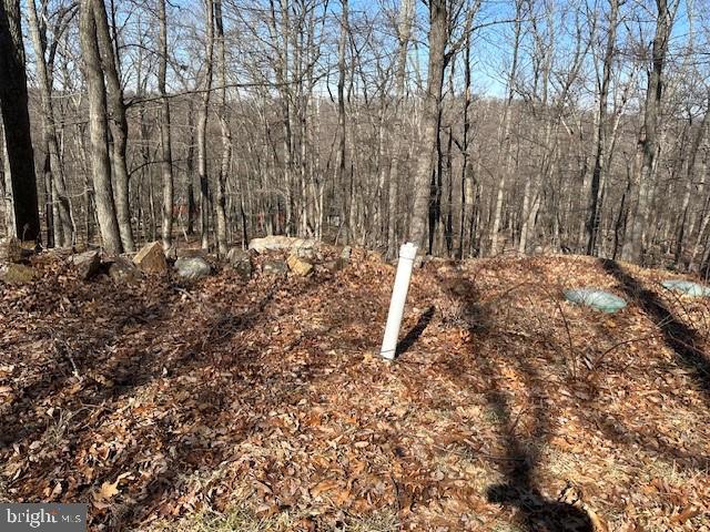 CABIN AT CAPON BRIDGE - Land