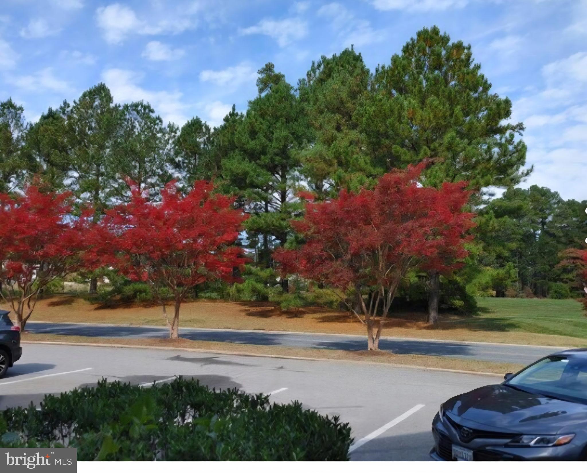 EASTON CLUB - Residential