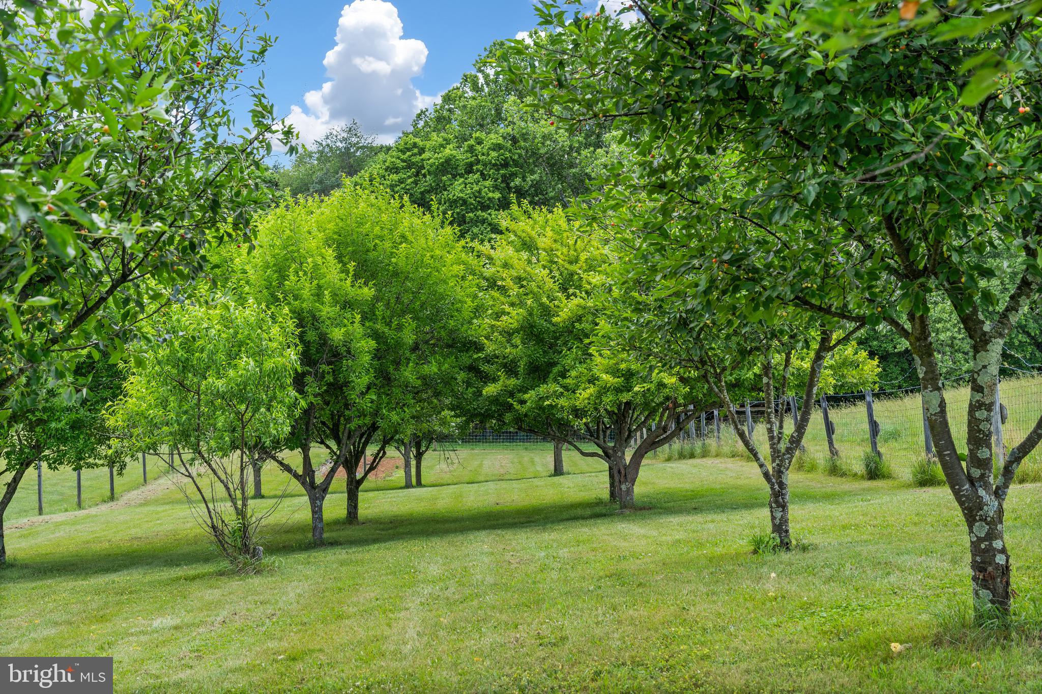 WASHINGTON COUNTY - Residential