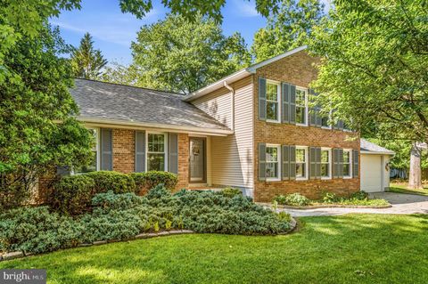 Homes For Sale - 4201 Blue Barrow Ride<br/> ELLICOTT CITY, MD 21042