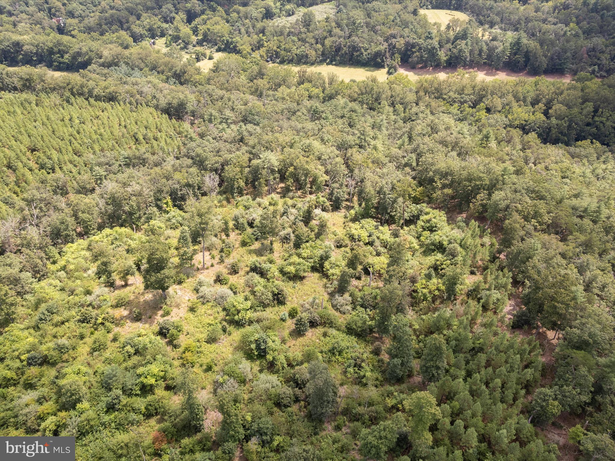 NONE AVAILABLE - Land