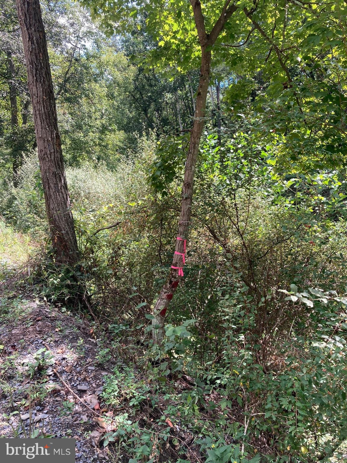 NONE AVAILABLE - Land