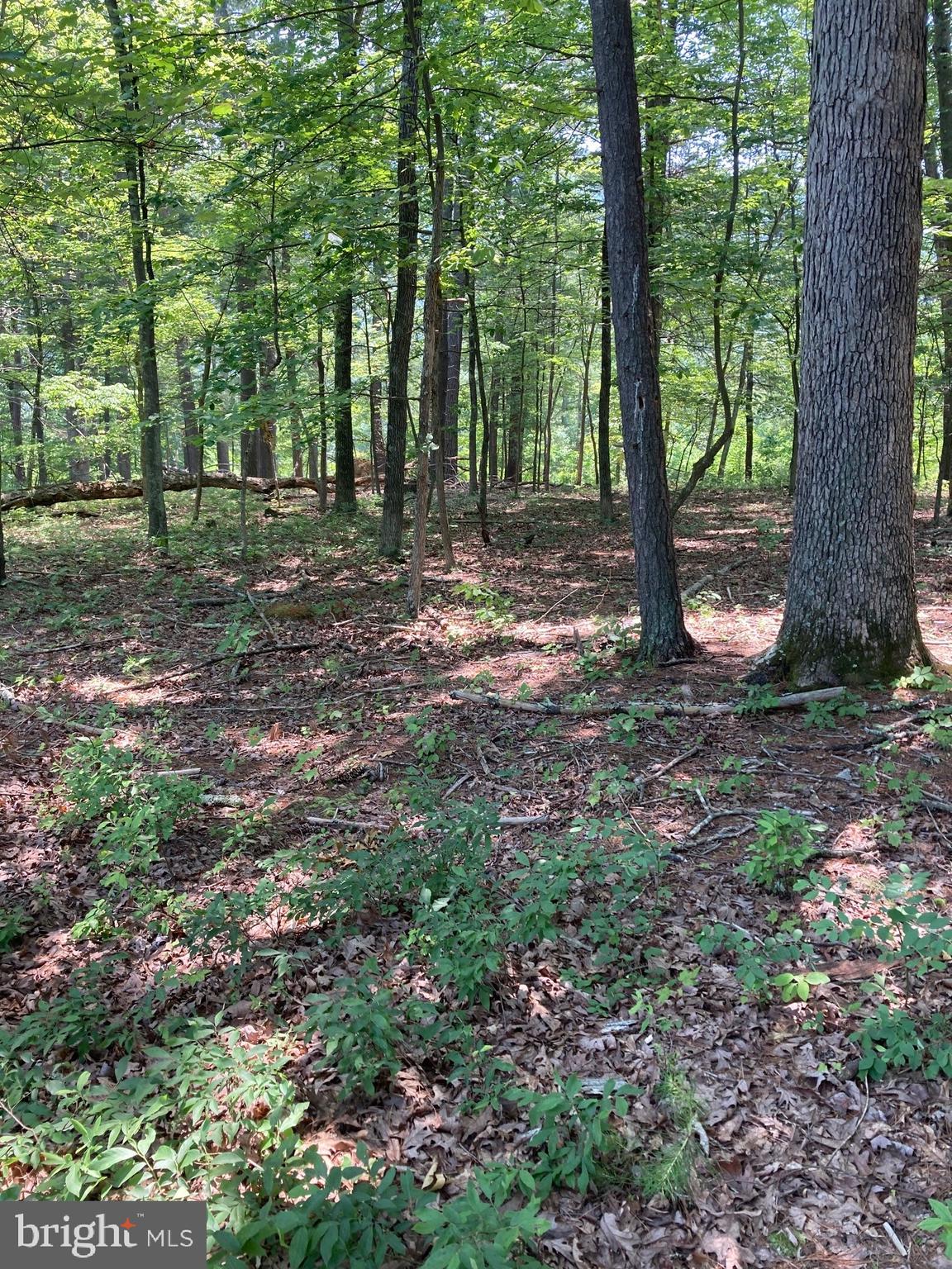 NONE AVAILABLE - Land