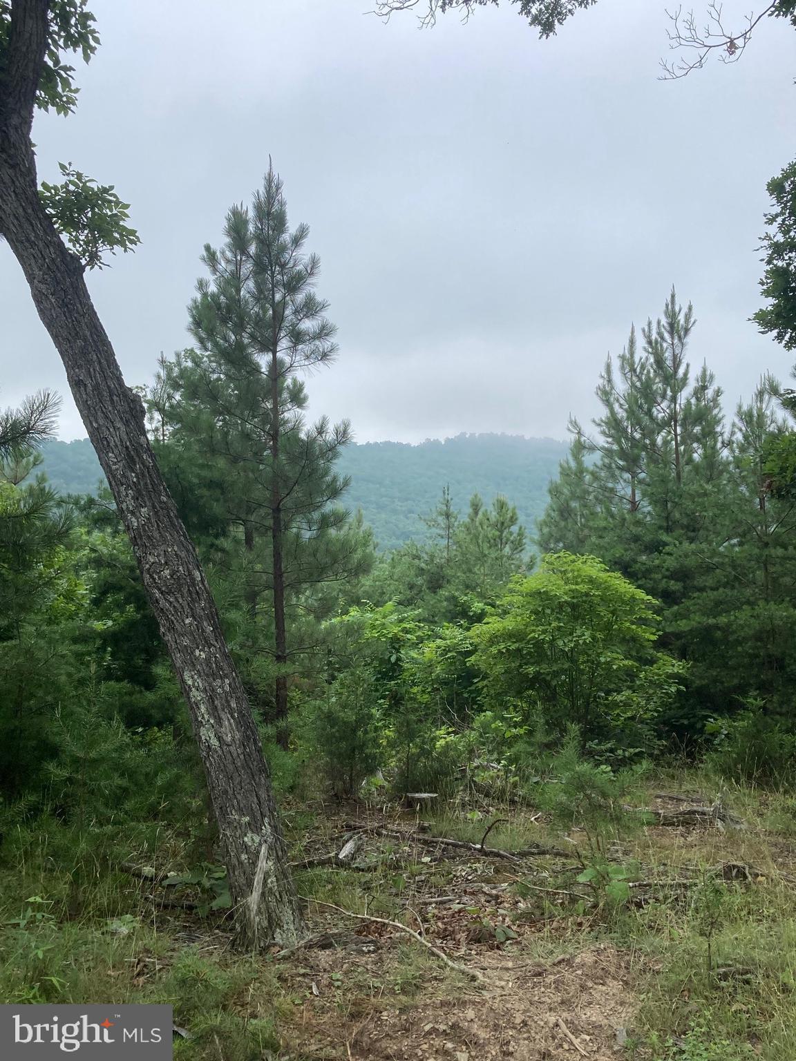 NONE AVAILABLE - Land