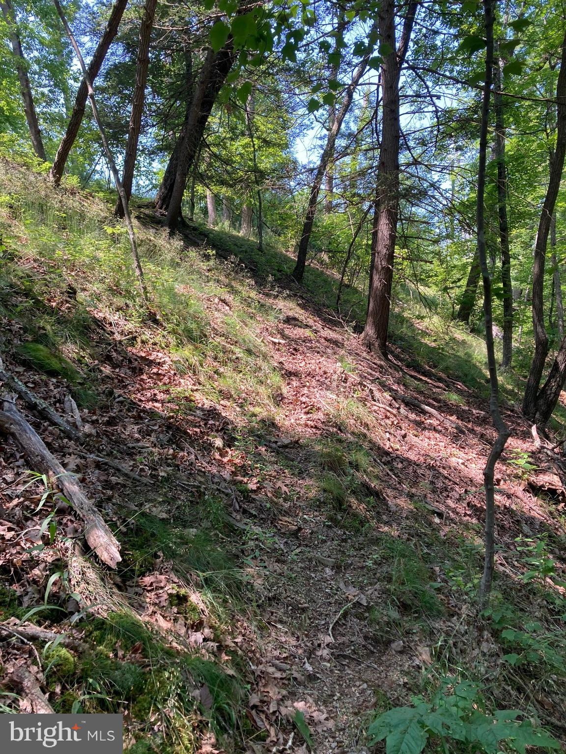 NONE AVAILABLE - Land