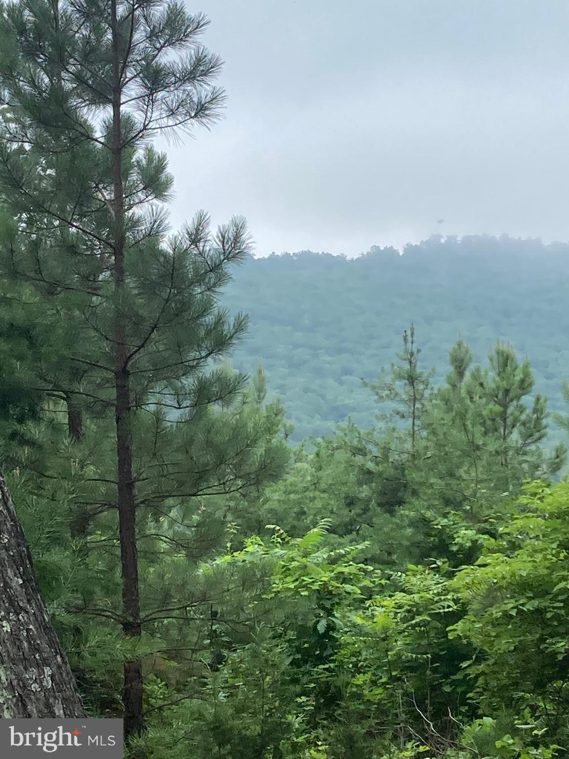 NONE AVAILABLE - Land