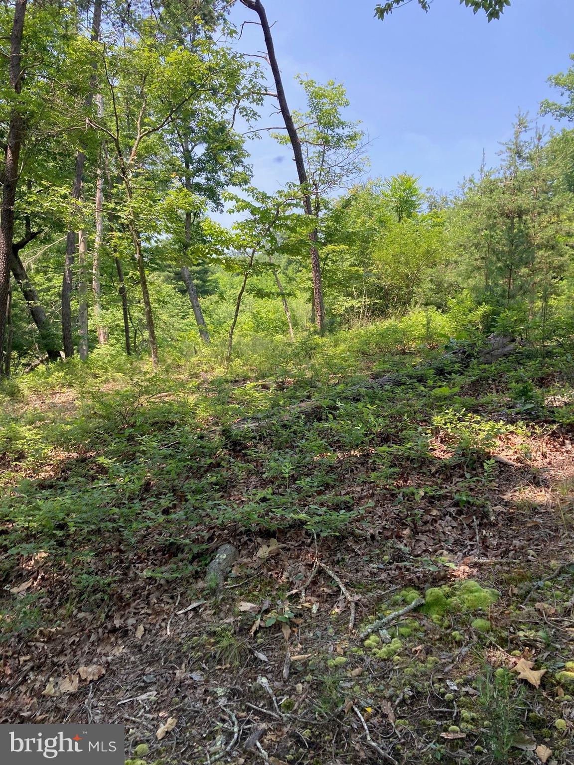 NONE AVAILABLE - Land