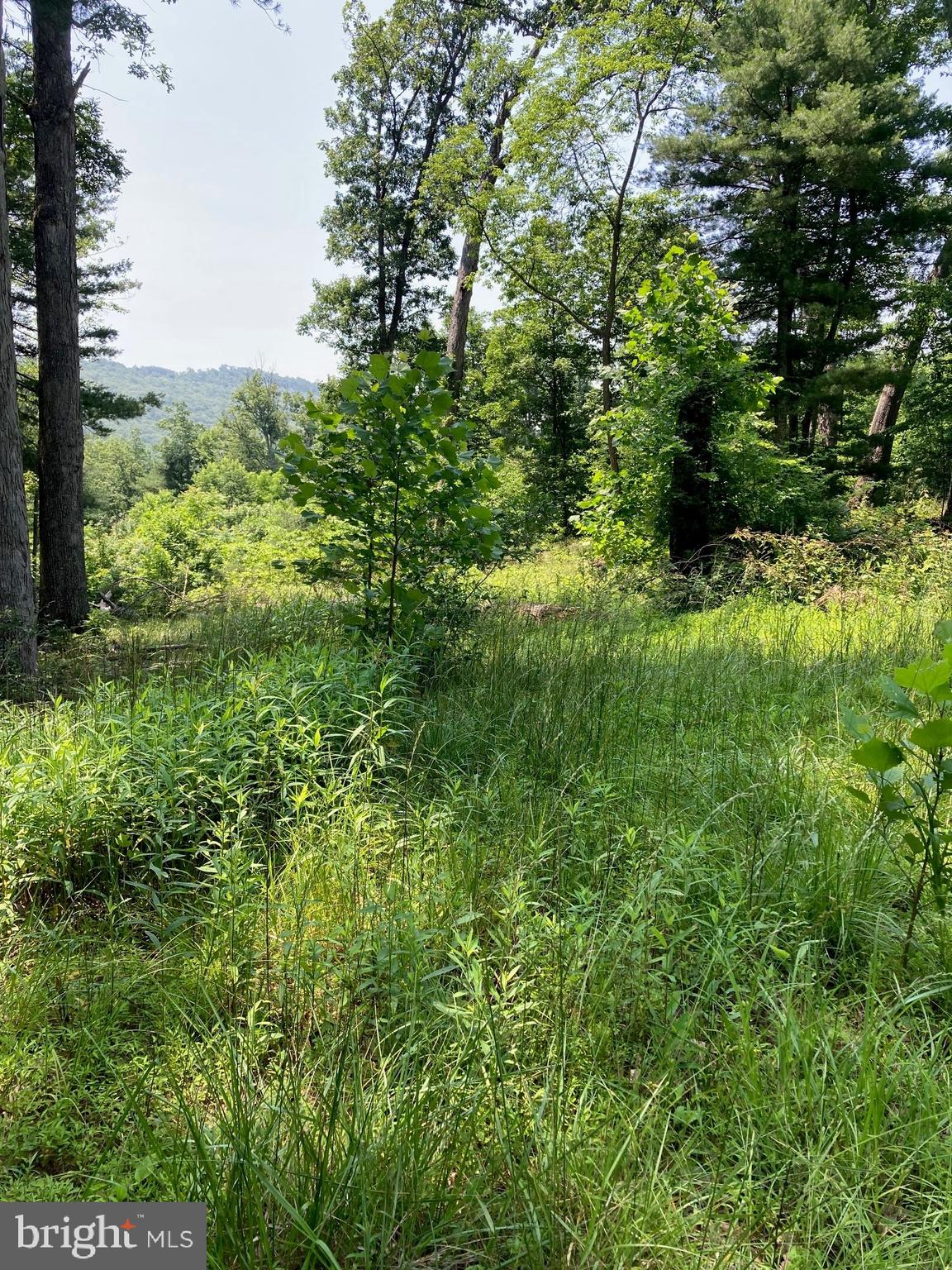 NONE AVAILABLE - Land