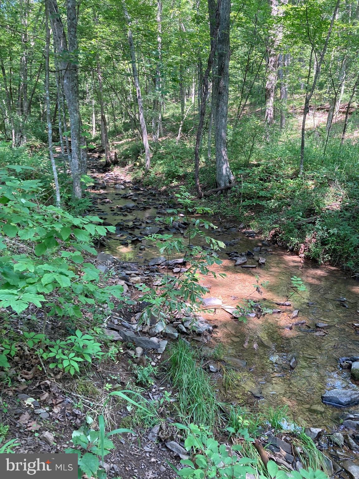 NONE AVAILABLE - Land