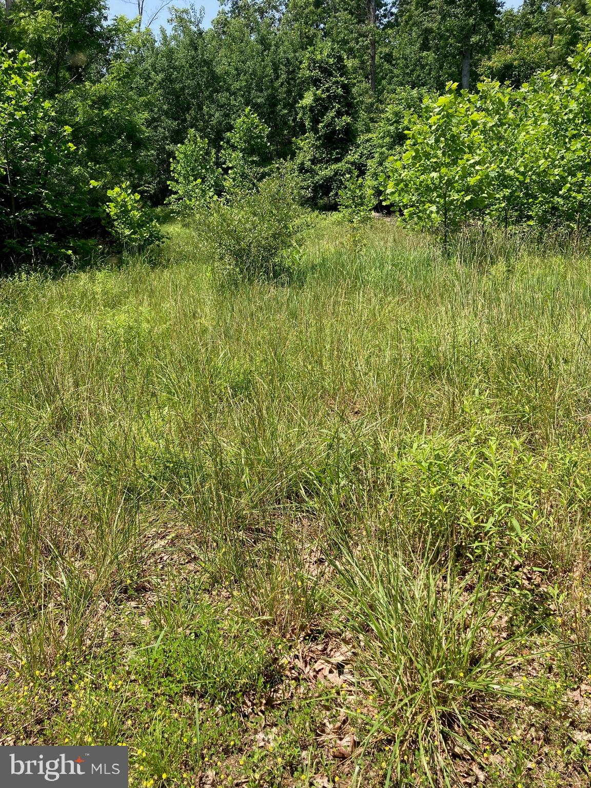 NONE AVAILABLE - Land