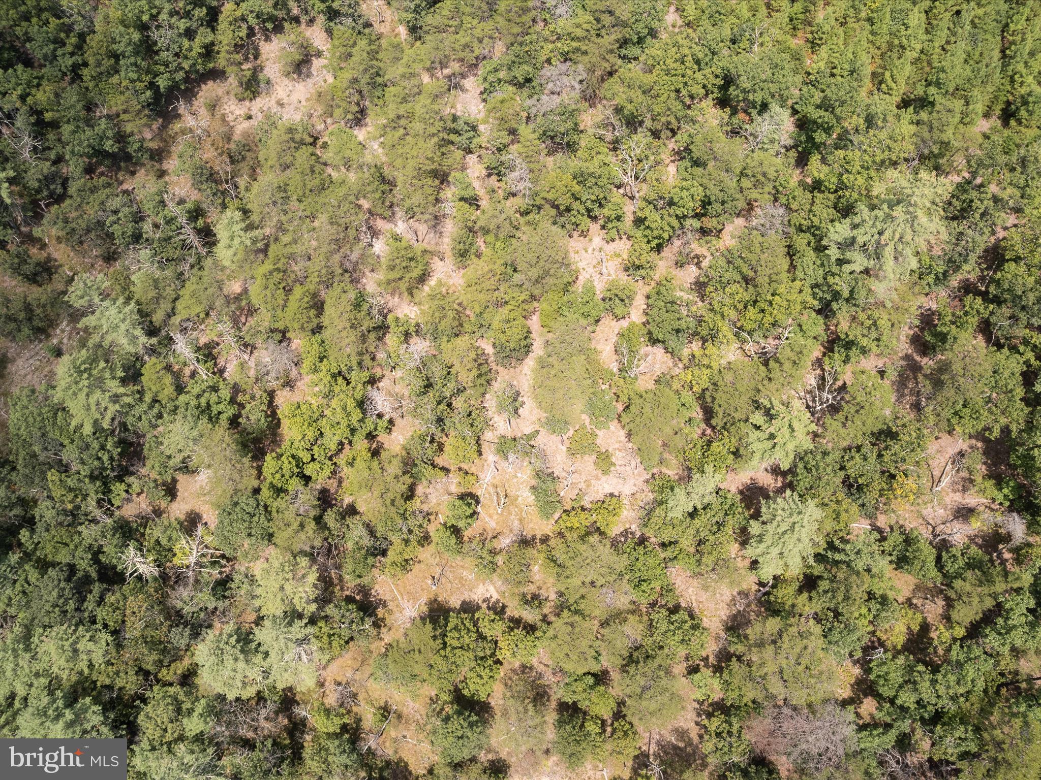 NONE AVAILABLE - Land