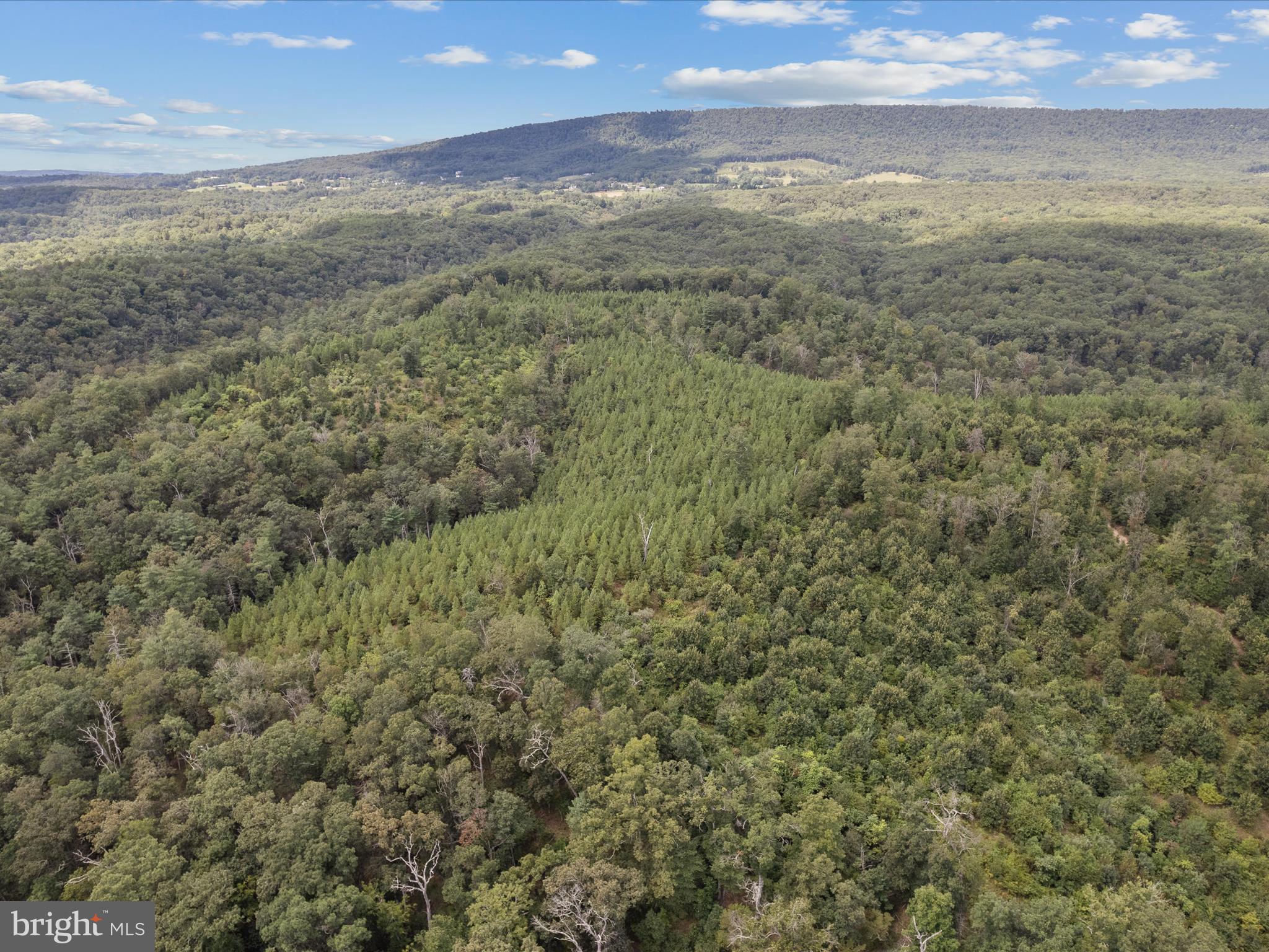 NONE AVAILABLE - Land