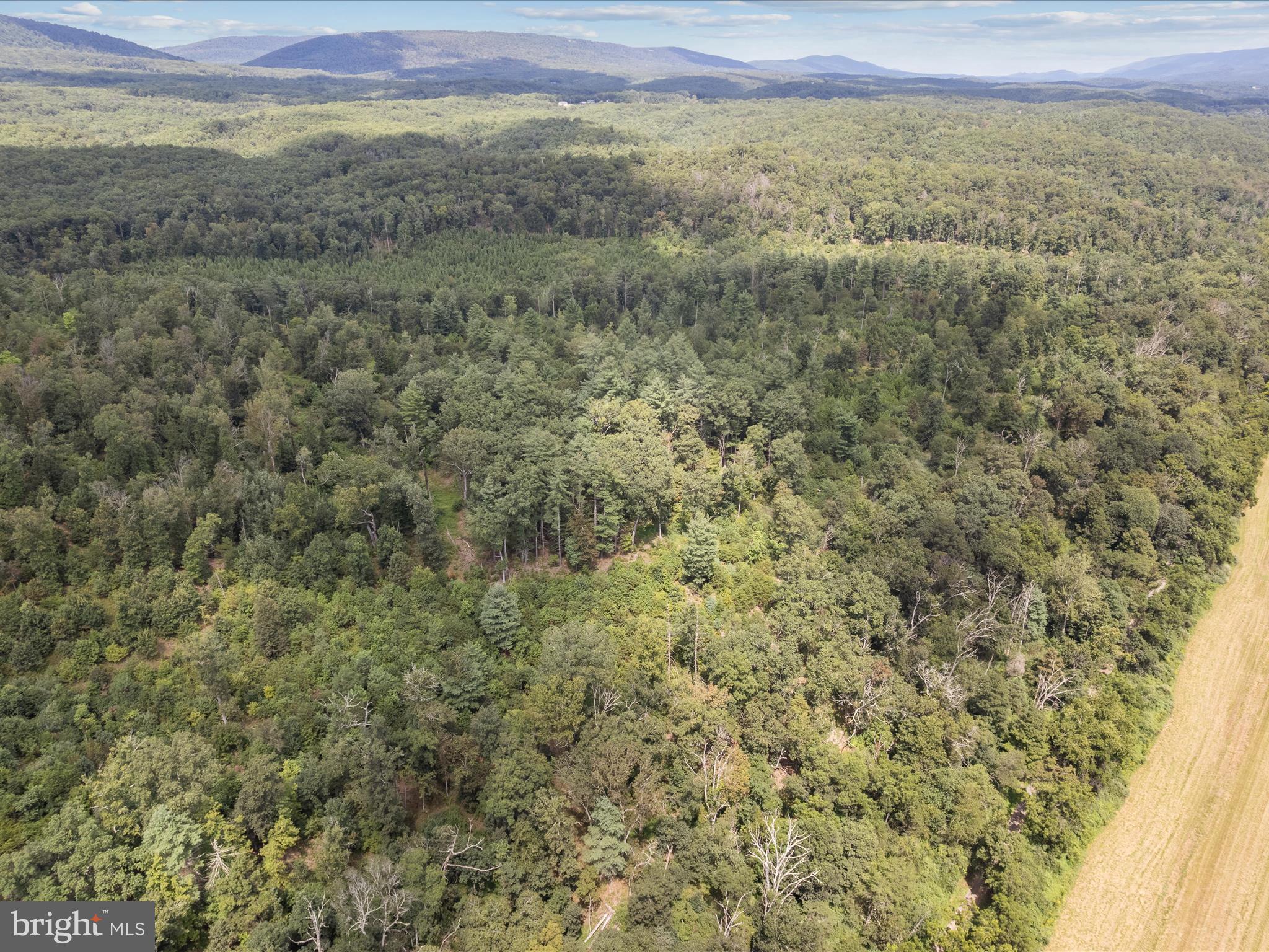 NONE AVAILABLE - Land