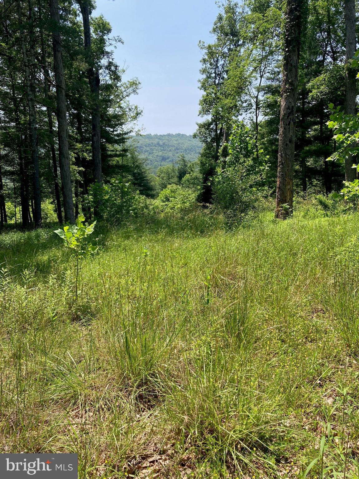 NONE AVAILABLE - Land