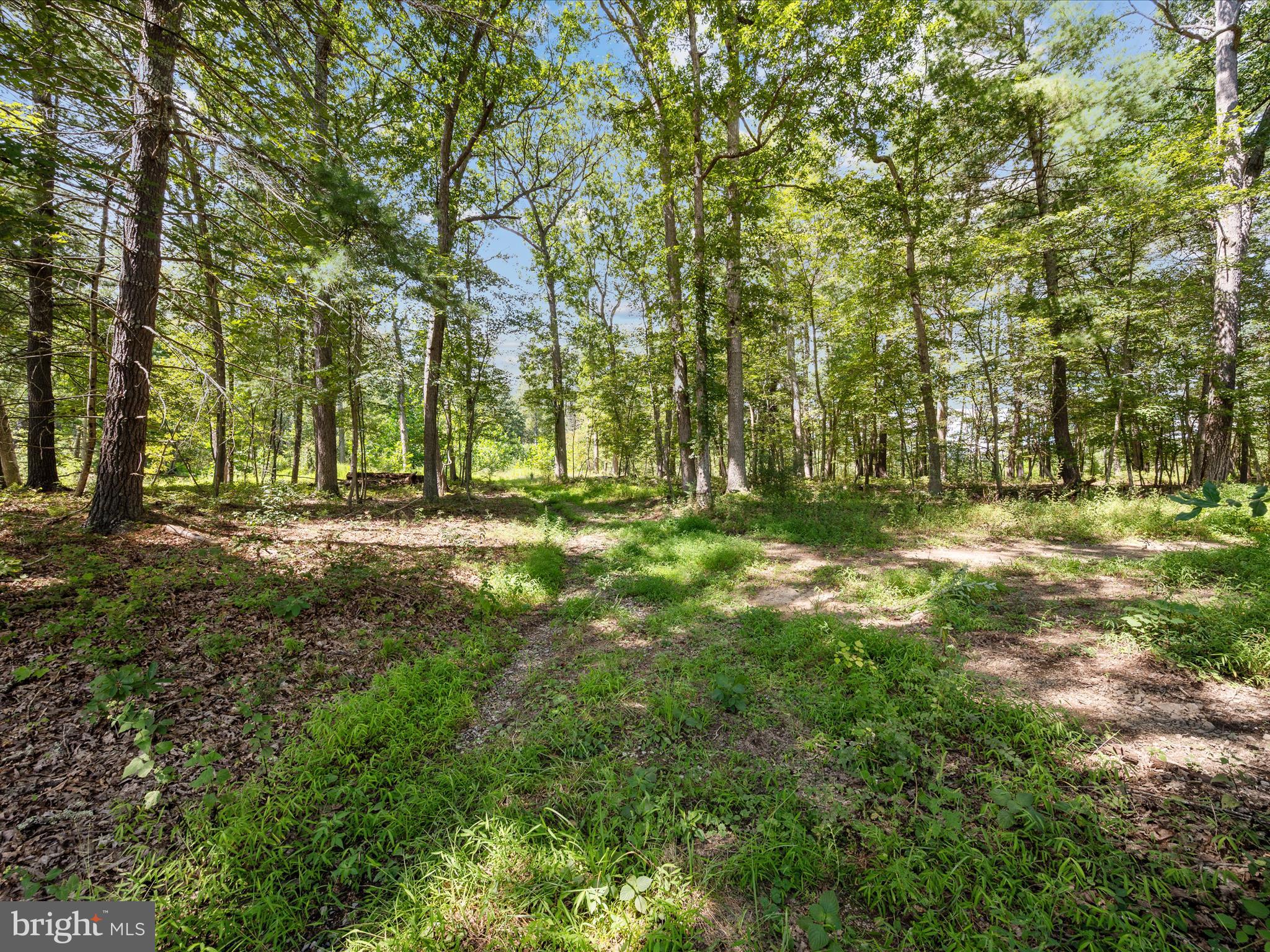 NONE AVAILABLE - Land