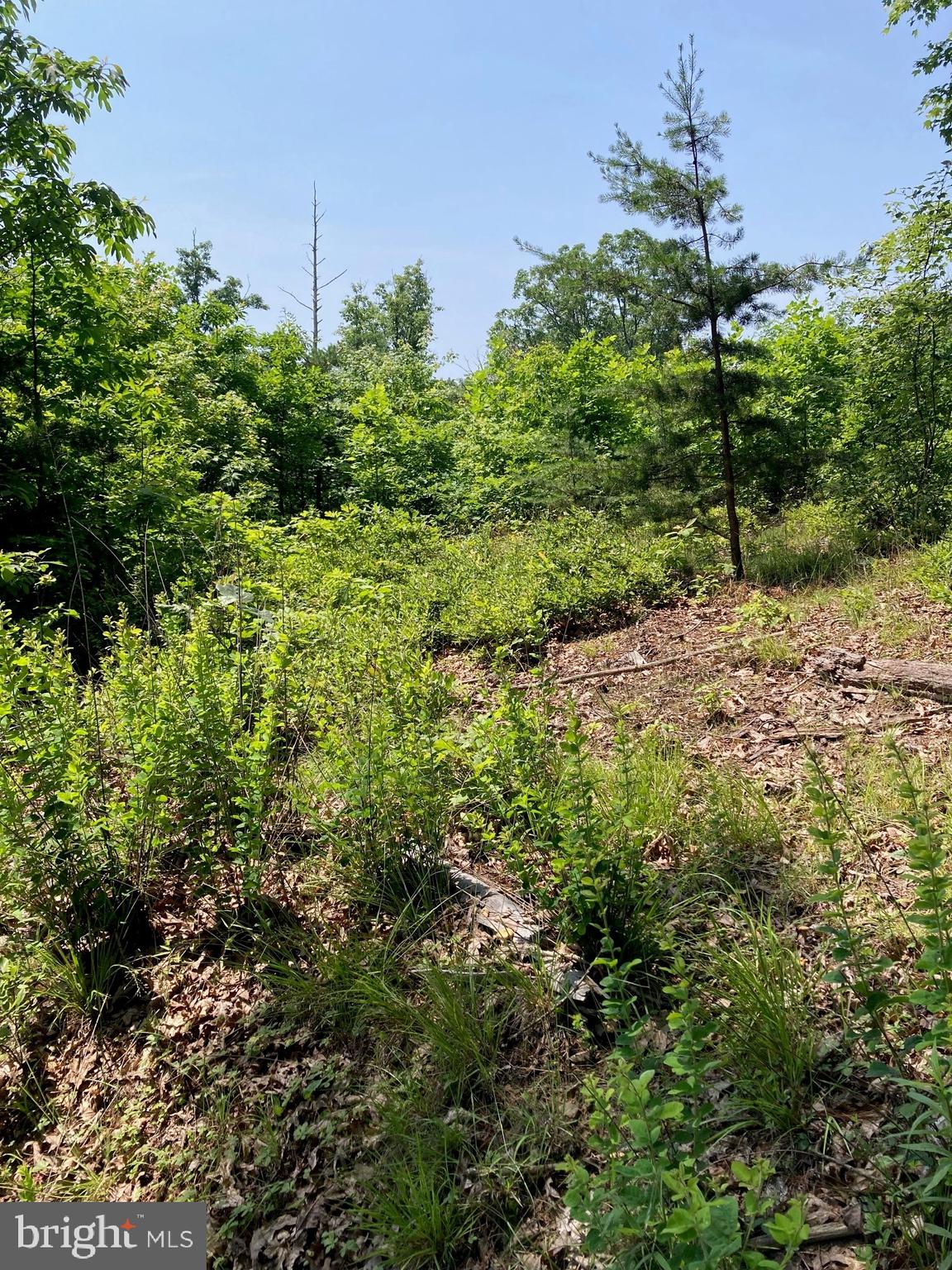 NONE AVAILABLE - Land