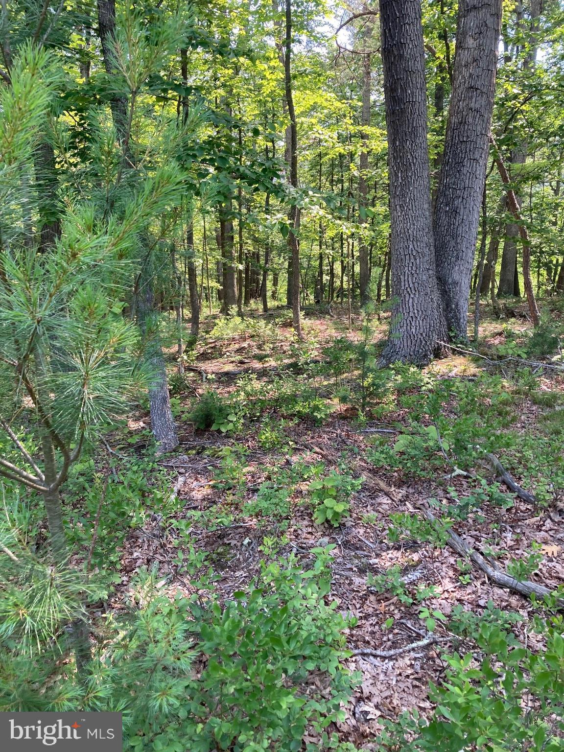 NONE AVAILABLE - Land