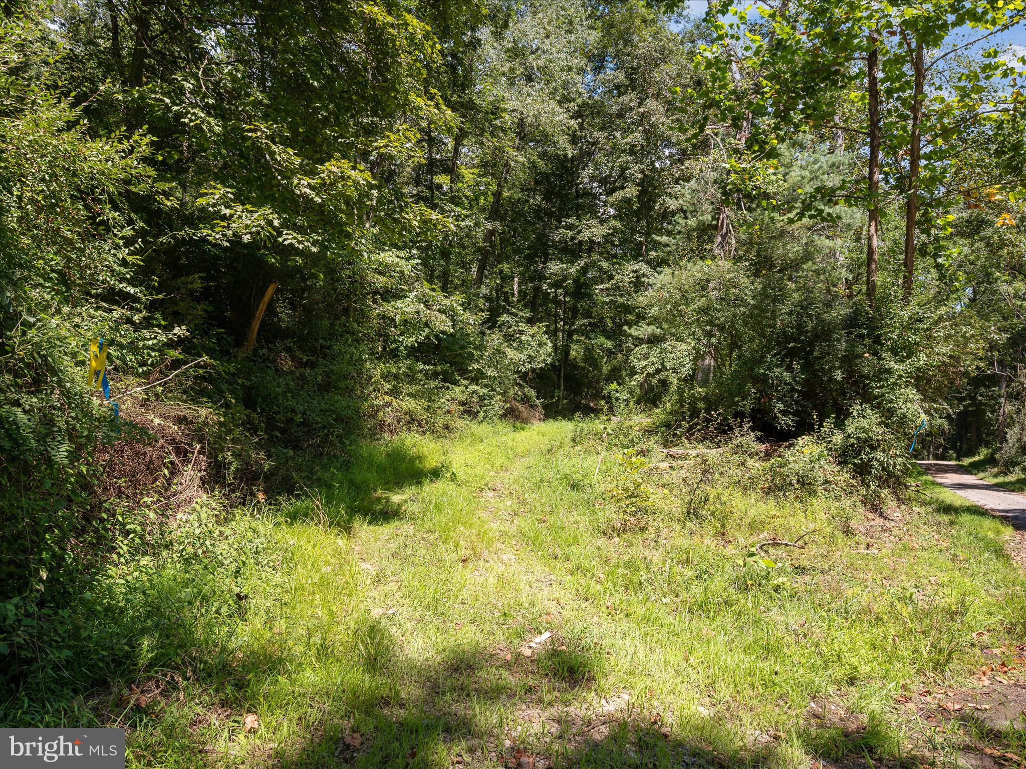 NONE AVAILABLE - Land