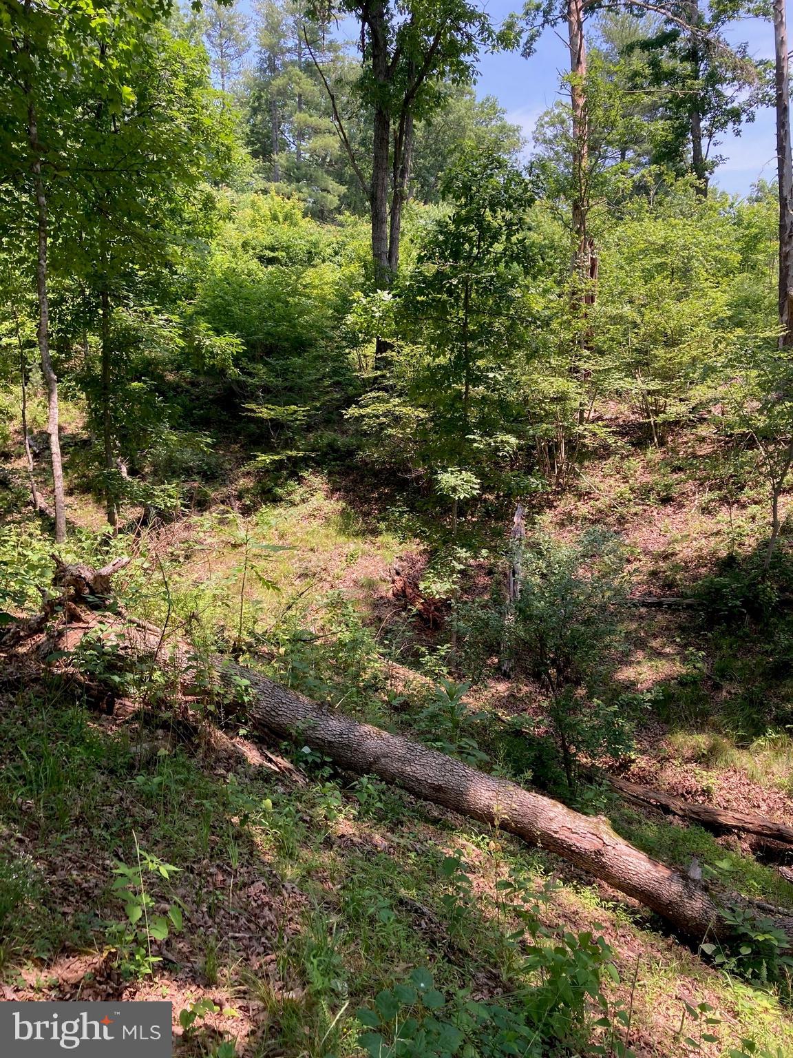 NONE AVAILABLE - Land