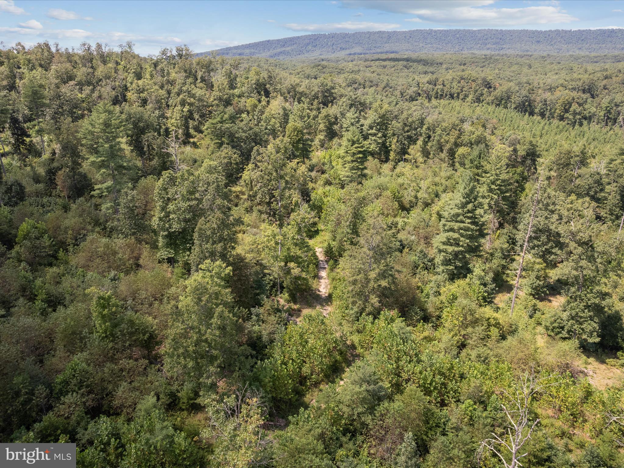 NONE AVAILABLE - Land