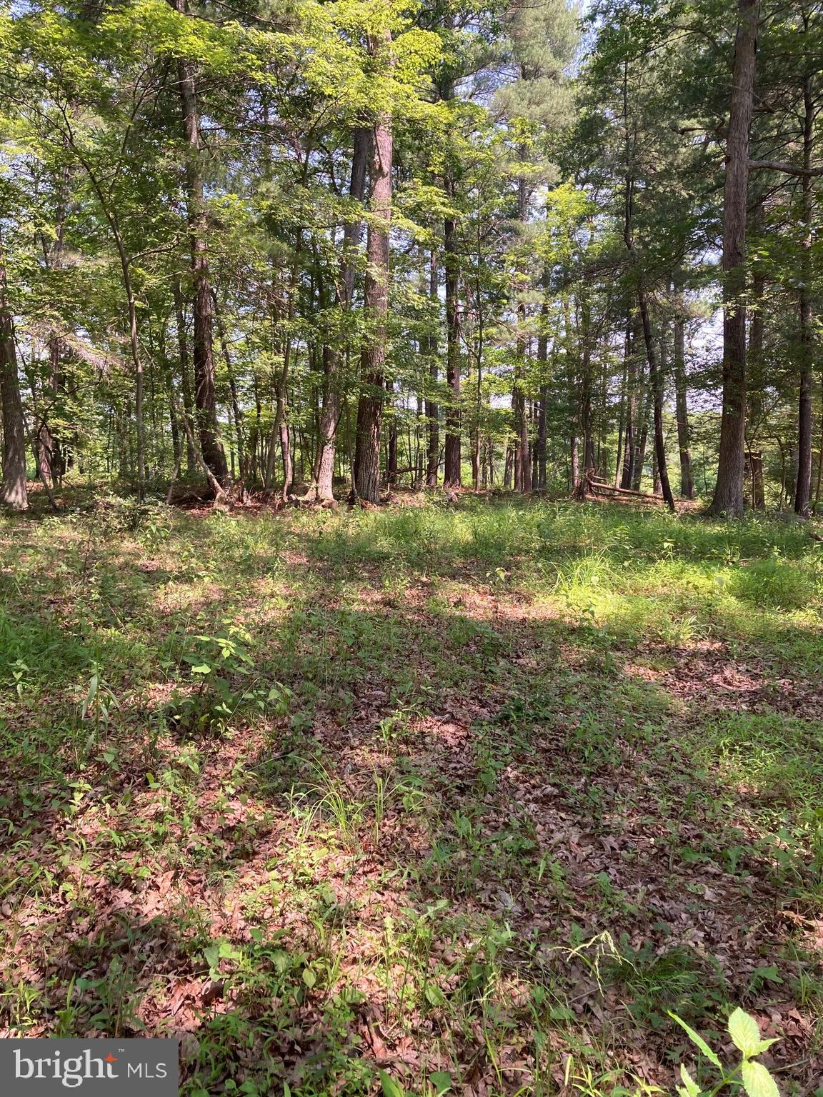 NONE AVAILABLE - Land