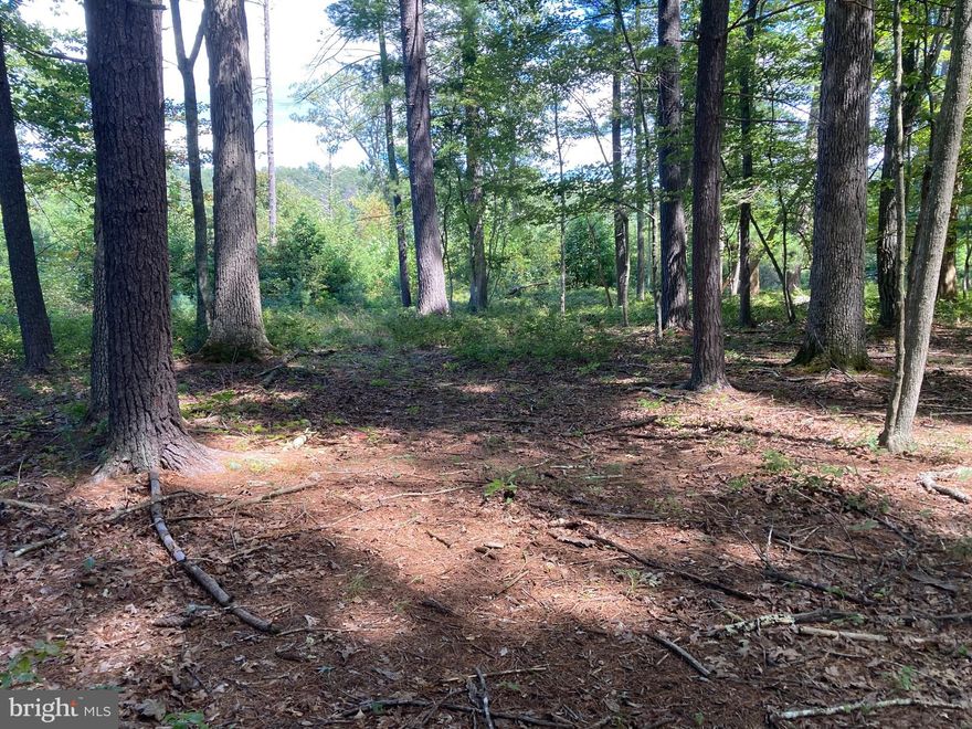 Located in the Bloomery District on Croston Road (N).   Mountain Freedom Awaits – Unrestricted Land with Stunning Views!   Discover the perfect escape on this beautiful mountain property with pleasant views and easy access.  Unrestricted and full of possibilities – bring your RV, build a cabin, or simply enjoy the peace and quiet.  Ideal for hunting, camping, and all your outdoor adventures, with abundant wildlife and lots of space to roam.    No HOA, no limits – just pure mountain freedom.    
The property is both secluded and conveniently located. You’re just eight minutes from the Slanesville General Store for everyday essentials like milk and fuel, 1.5 miles to public river access and 35 minutes from Winchester, Virginia.   Where you’ll find major shopping, restaurants, and an outstanding regional hospital.   Easy access to the property,  only  a mile and half off the paved road, makes it a perfect year-round destination.