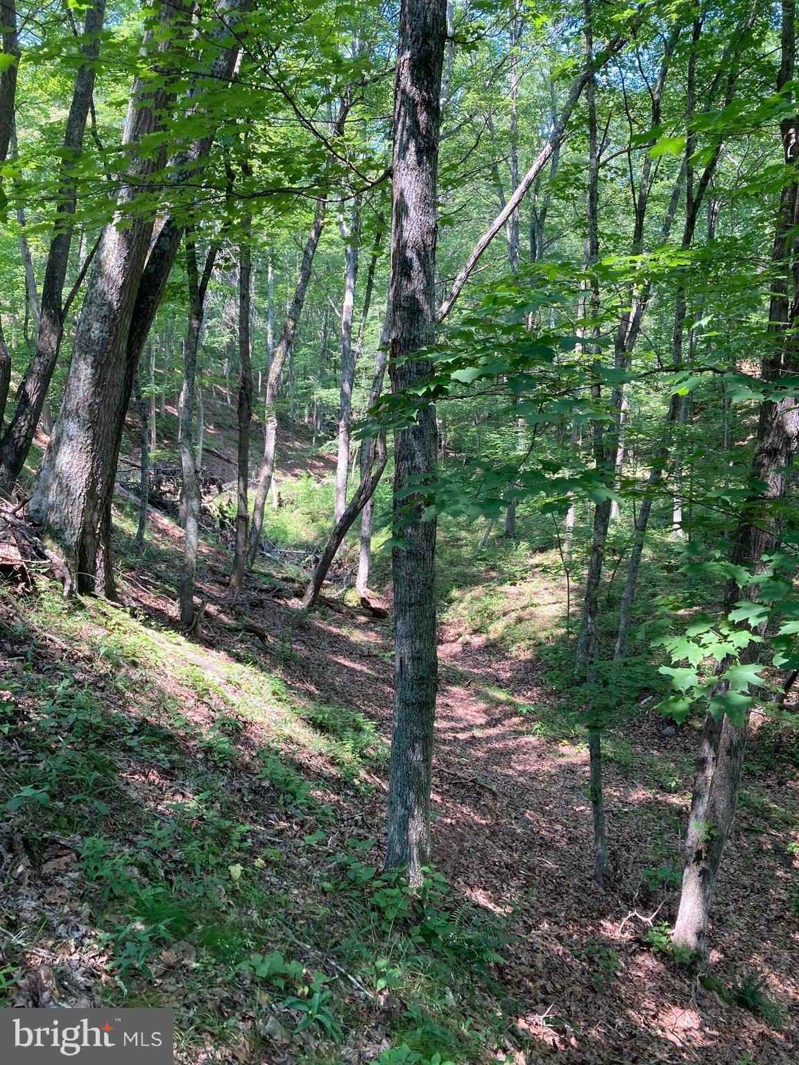 NONE AVAILABLE - Land