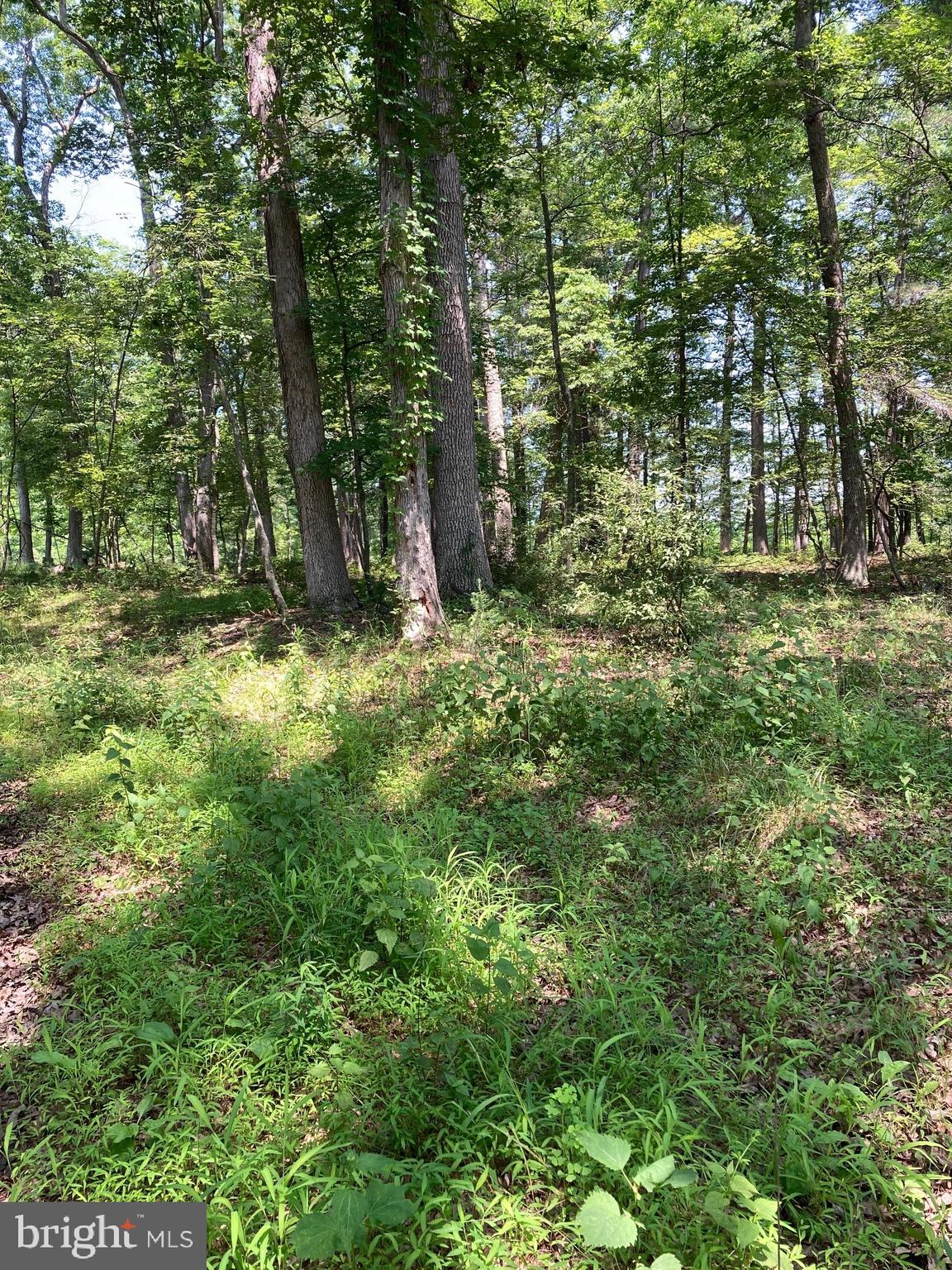 NONE AVAILABLE - Land