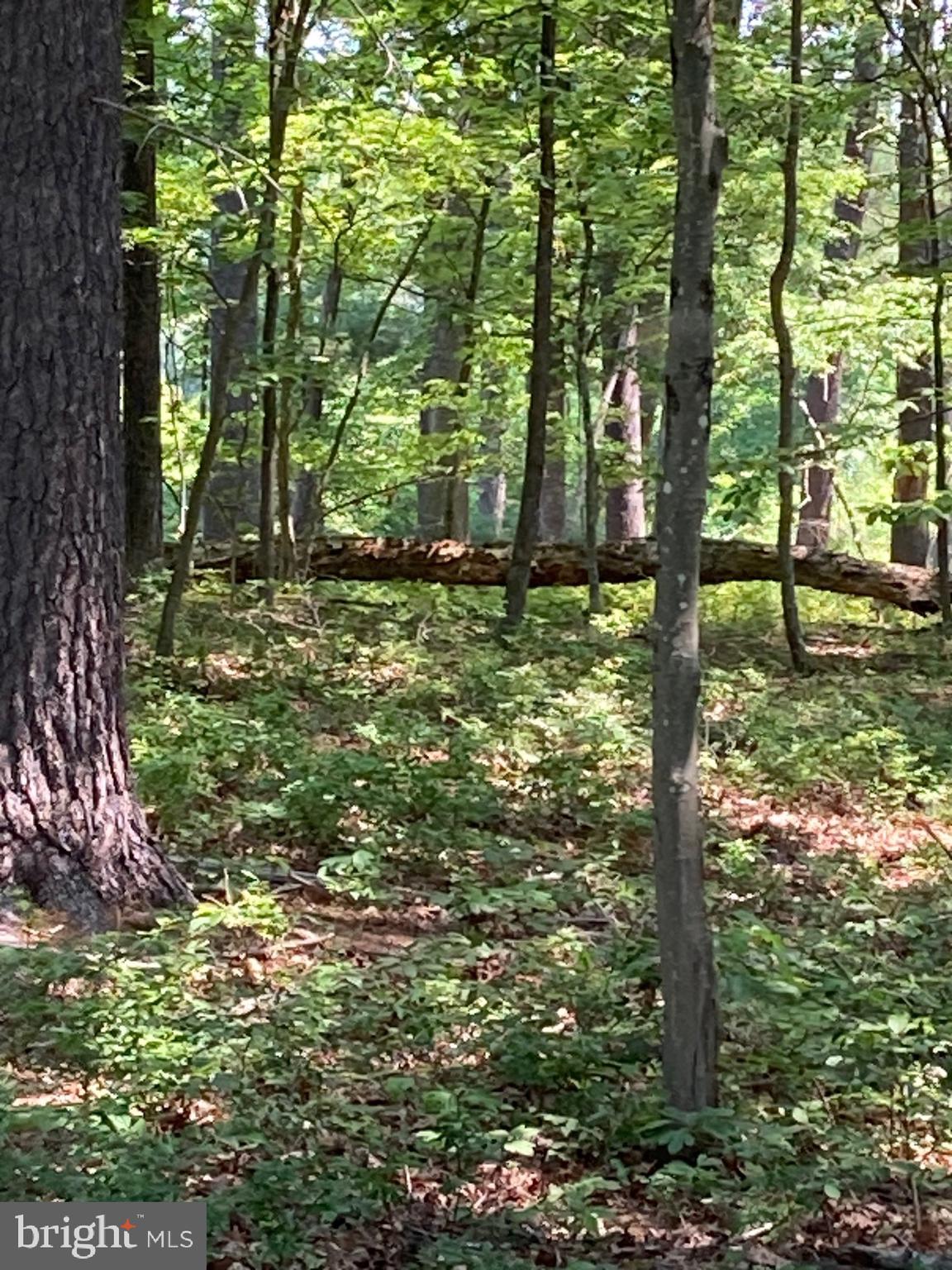 NONE AVAILABLE - Land