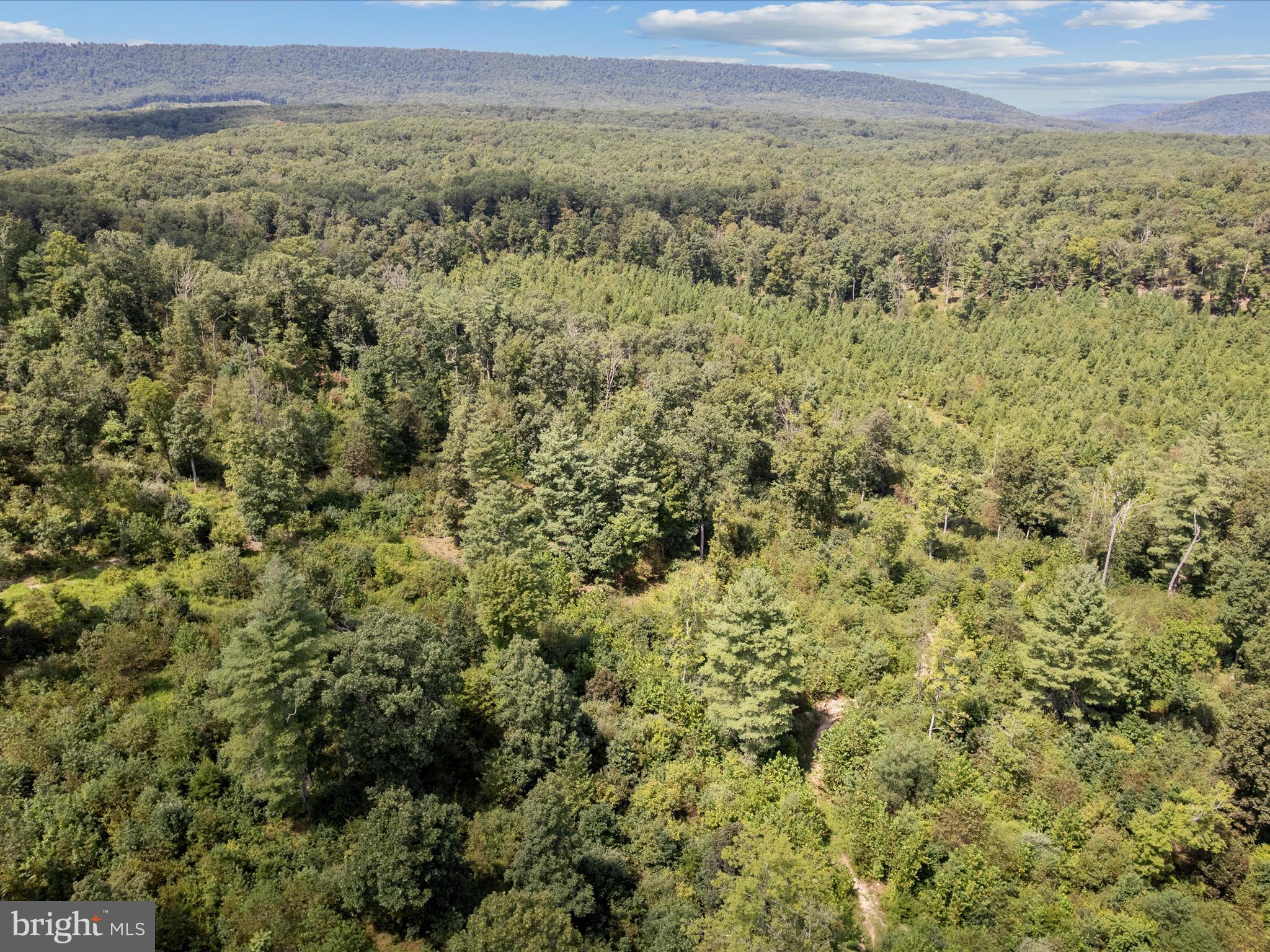 NONE AVAILABLE - Land