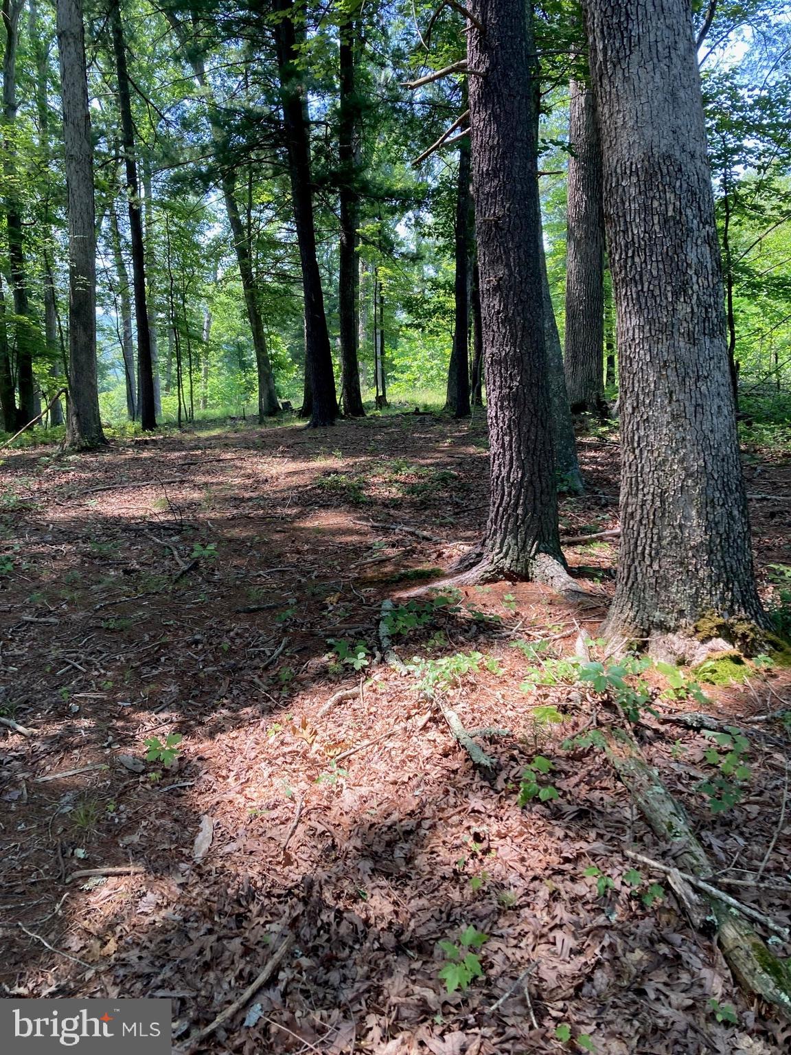 NONE AVAILABLE - Land