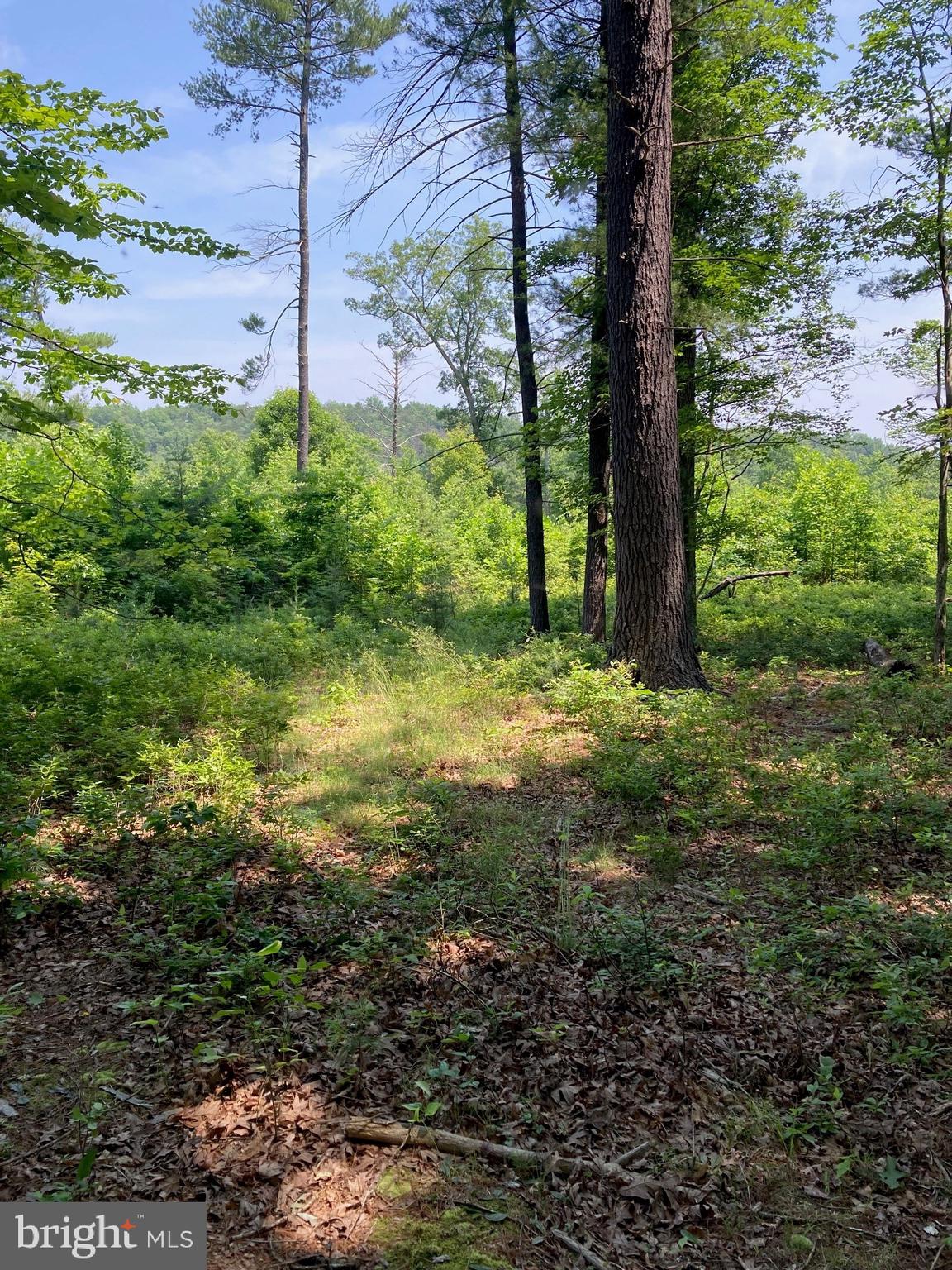 NONE AVAILABLE - Land