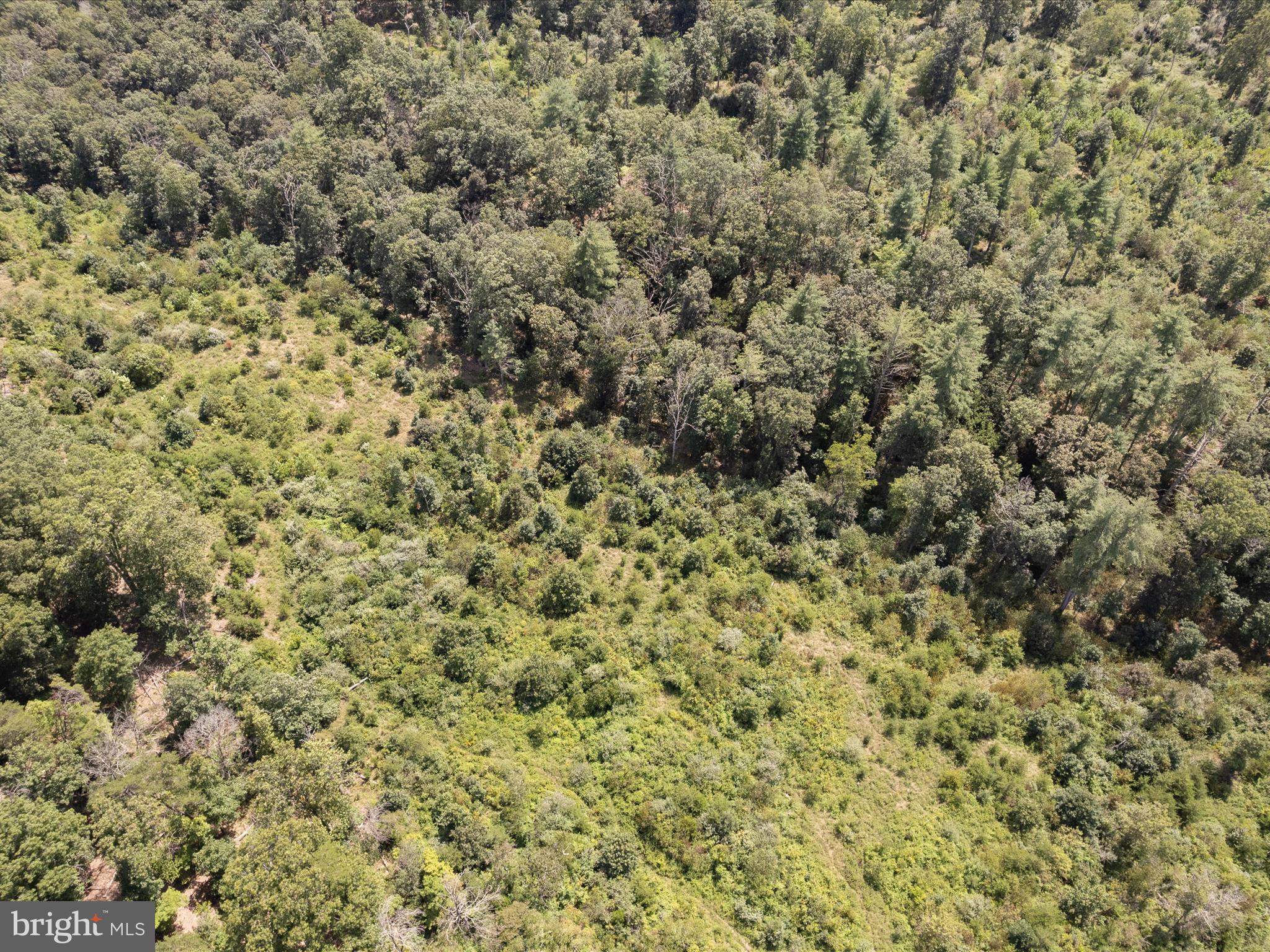 NONE AVAILABLE - Land