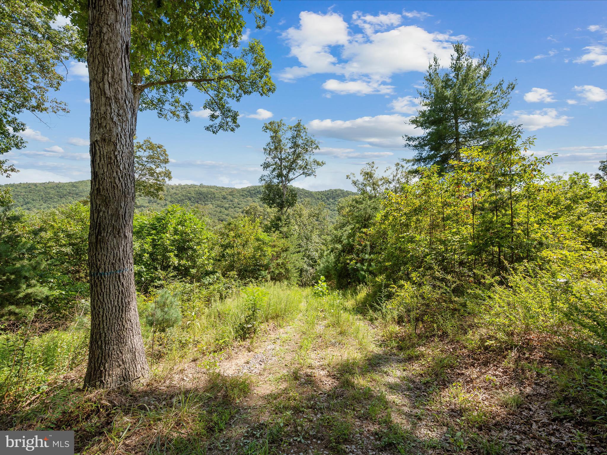 NONE AVAILABLE - Land