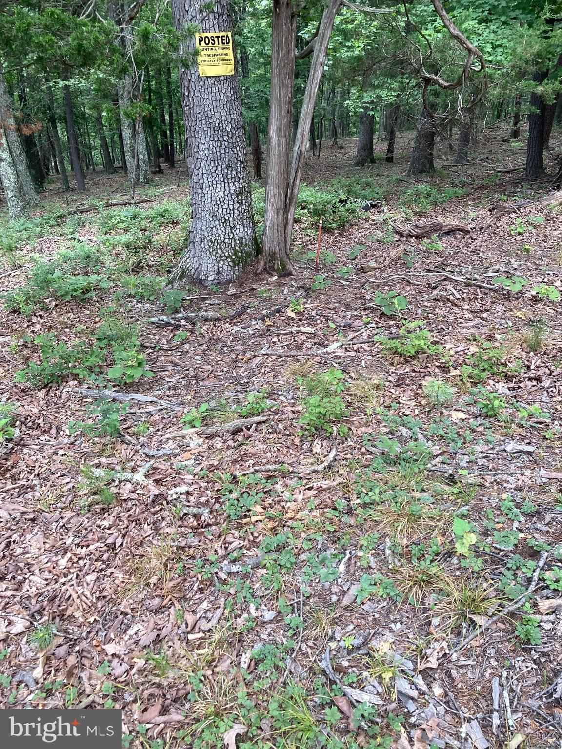 NONE AVAILABLE - Land