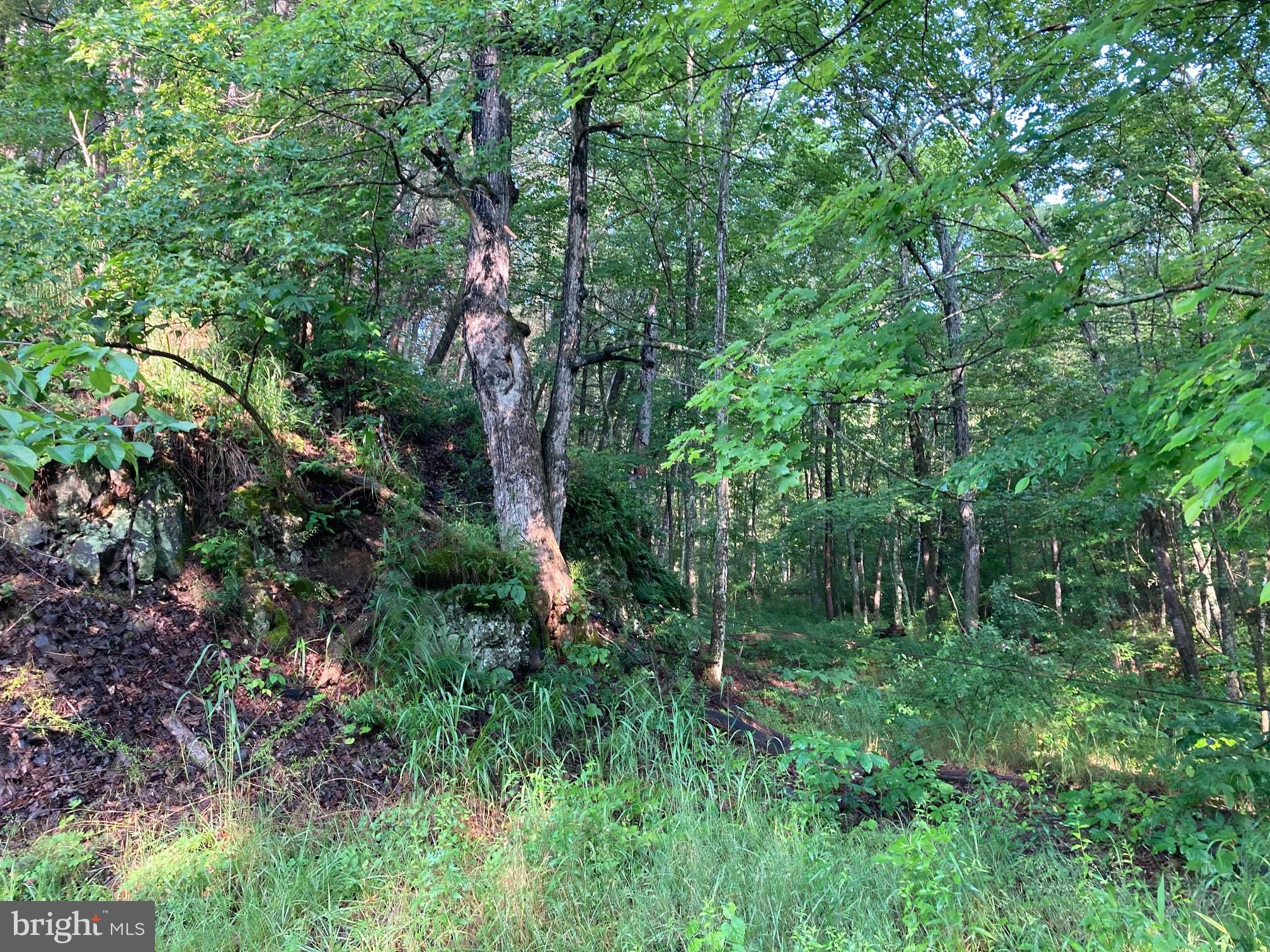 NONE AVAILABLE - Land