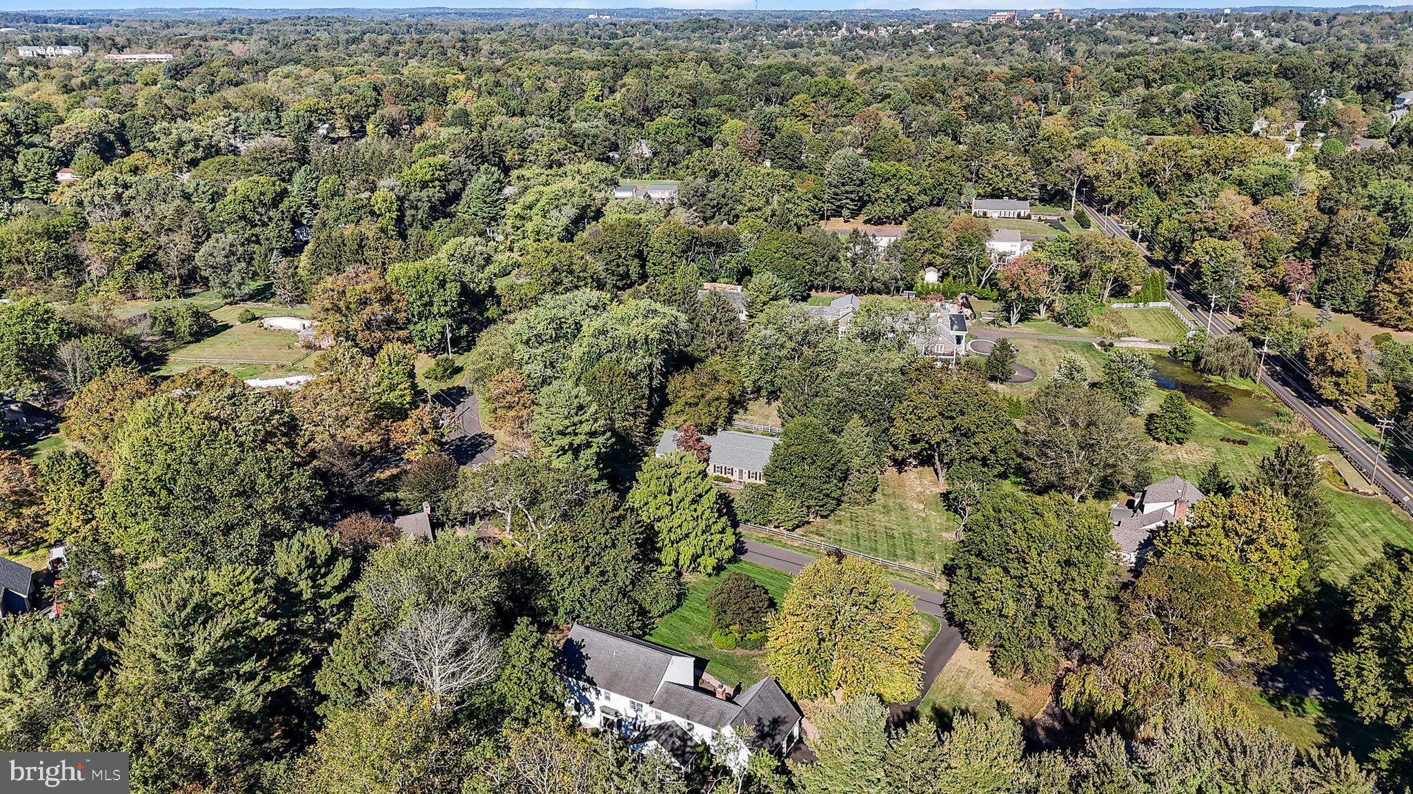 WOODS OF PEBBLE HI - Residential