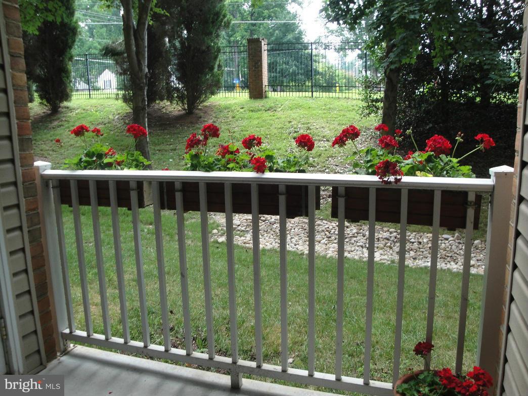 THE PAVILION - Residential