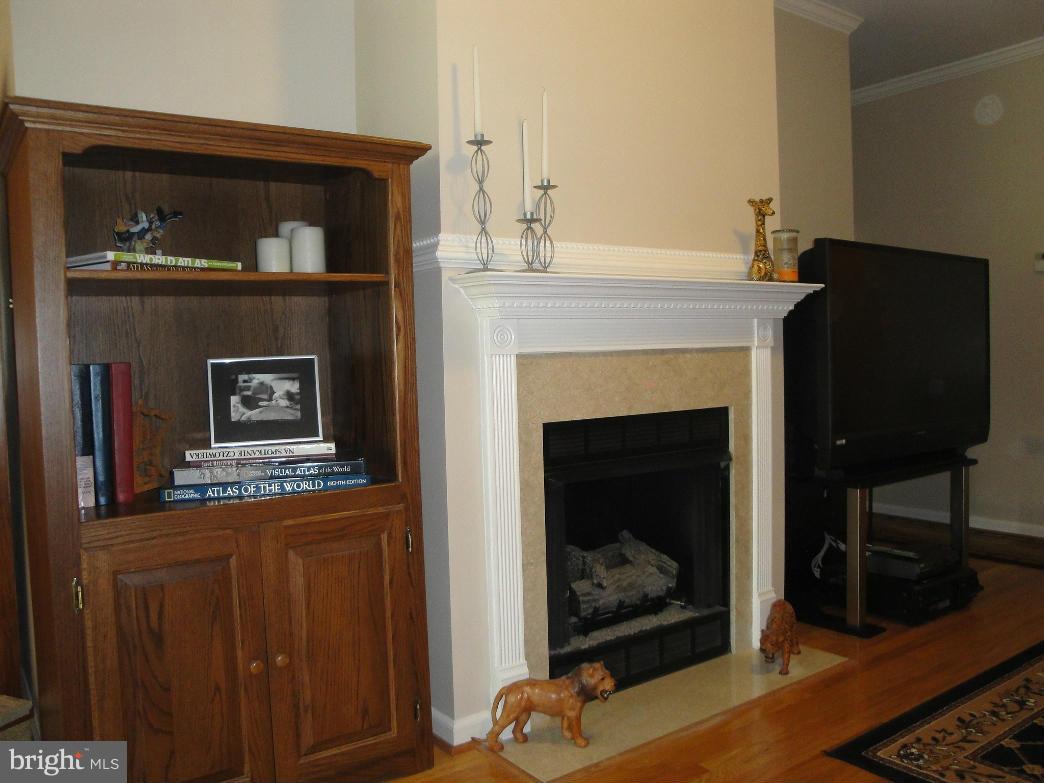 THE PAVILION - Residential