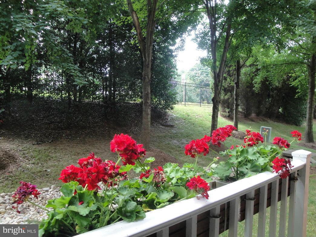 THE PAVILION - Residential