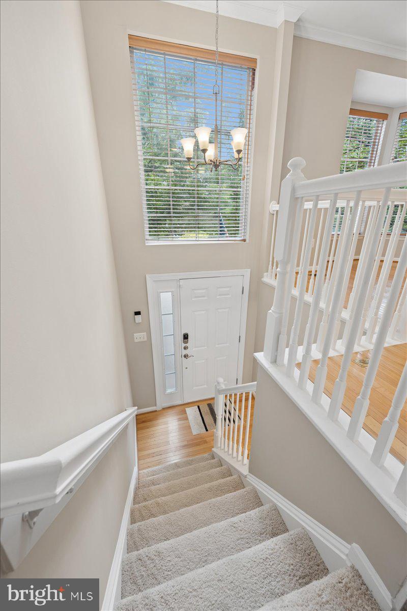 3611 HOPE COMMONS COURT