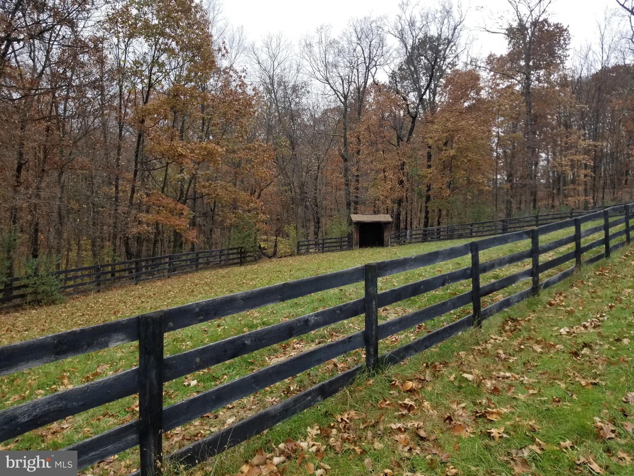 SUMMERFIELD HILLS - Residential