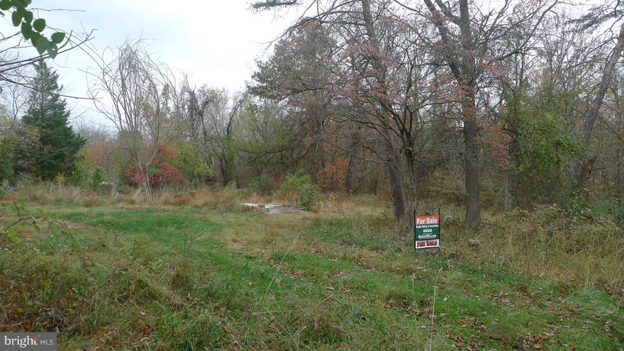 4 lots in Potomac Park Estates. Previous structure at the location which is no longer there.  Base of home is still there as is well & septic.  Potomac River Access community.  Great  spot for river lovers. Lot 21,22,23,24.  Total acreage about .68 (approximately).   Seller is motivated and will consider all reasonable offers.