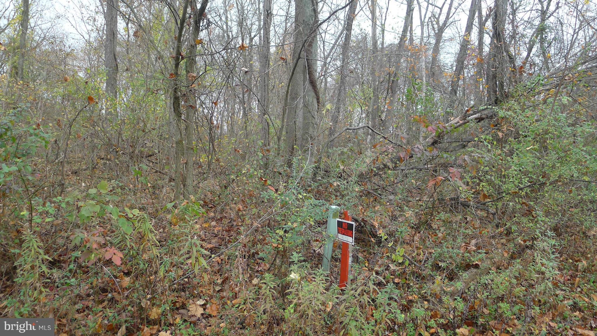 POTOMAC PARK ESTATES - Land