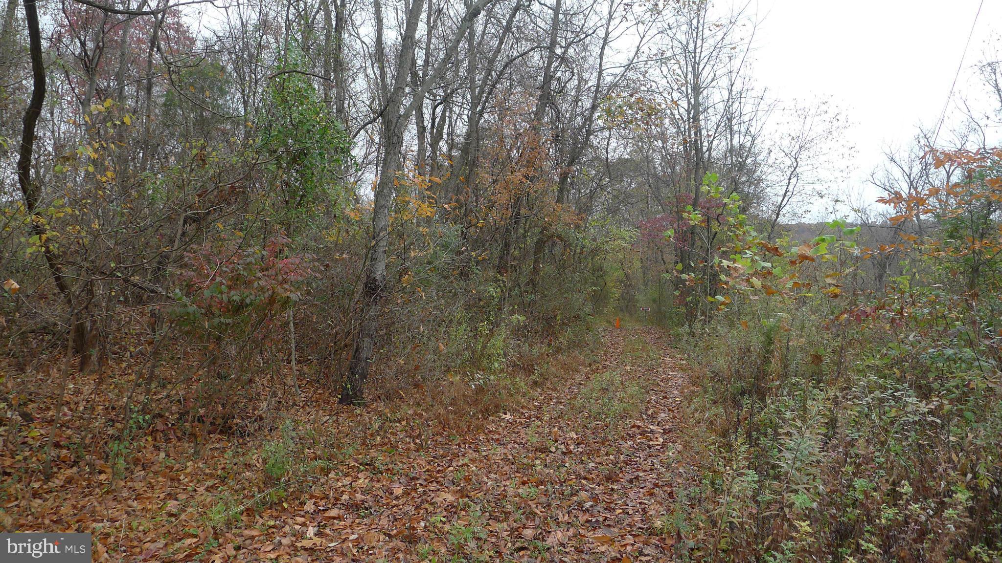 POTOMAC PARK ESTATES - Land