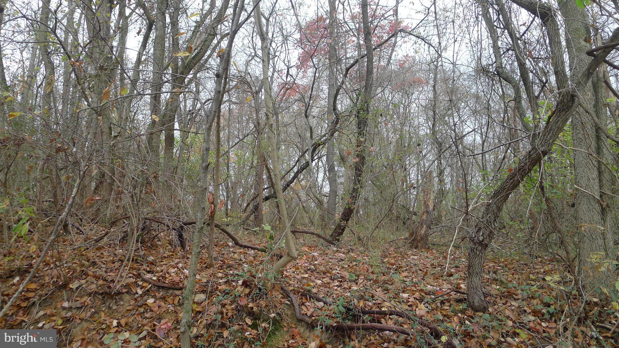 POTOMAC PARK ESTATES - Land