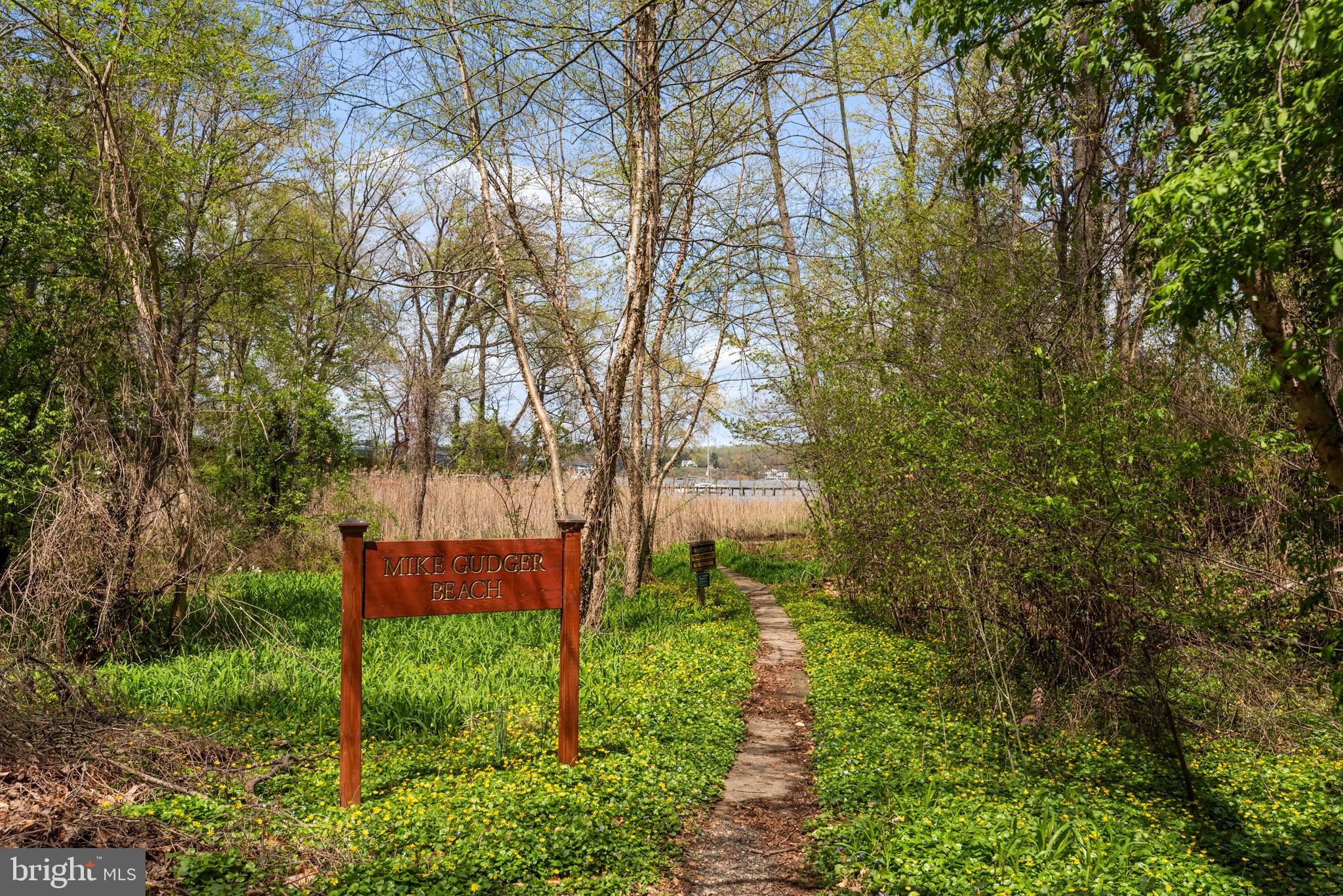 WARDOUR - Residential